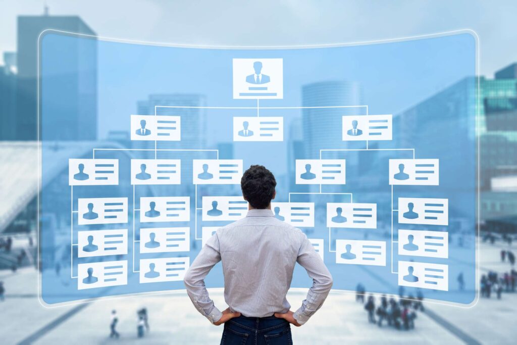 Organizational Structuring and Operational Efficiency Services in Turkey